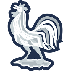 Francja — Reprezentacja